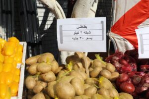 محافظ الجيزة يتابع تجهيزات افتتاح سوق “اليوم الواحد”بإمبابة