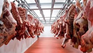 استقرار أسعار الدواجن واللحوم والبيض اليوم بالأسواق