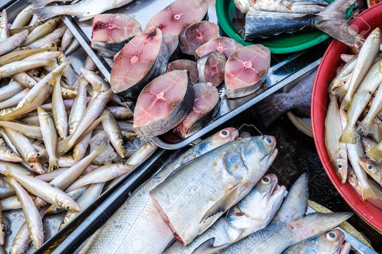 قفزة في أسعار السمك والمأكولات البحرية اليوم