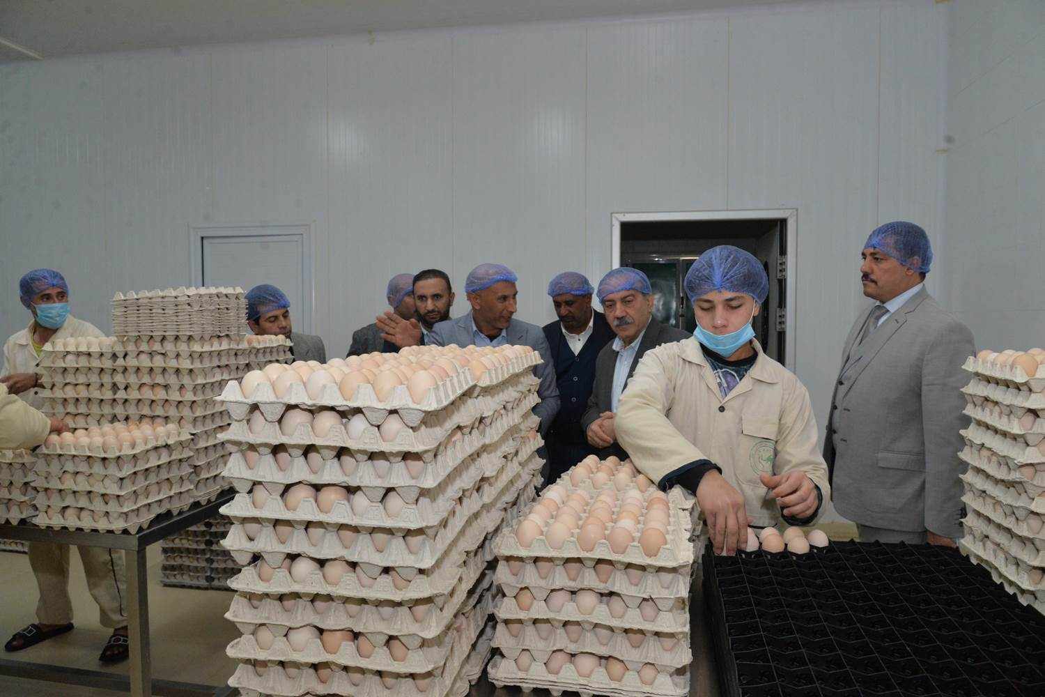 لإنتاج ٢٢٥ مليون بيضة سنويًا.. محافظ أسيوط يتفقد التوسعات الجديدة لأكبر مشروع داجني