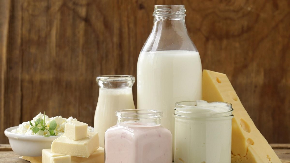 أسعار الألبان ومنتجاتها اليوم بالأسواق