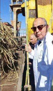 بعد توقفه لمدة عام.. محافظ المنيا يشهد بدء موسم توريد “قصب السكر” الجديد