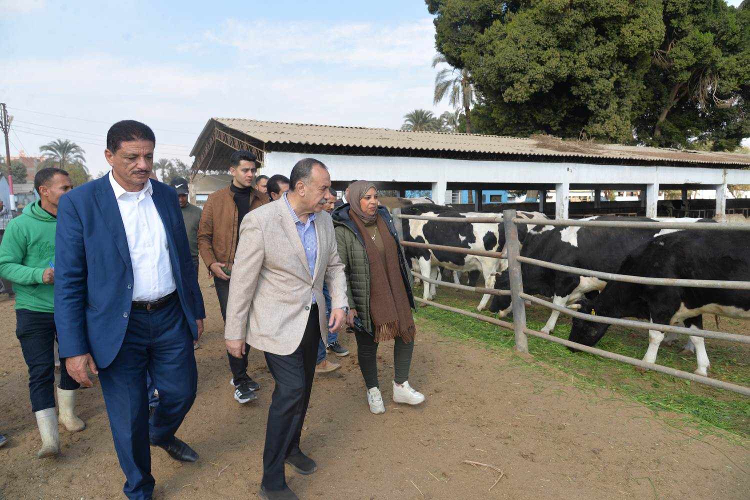 محافظ أسيوط يتفقد مزرعة الثروة الحيوانية بقرية أبنوب الحمام