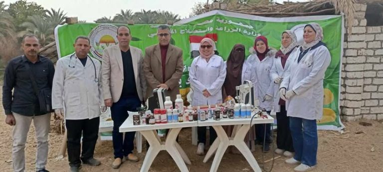 الطب البيطري