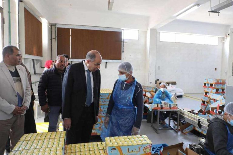 محافظ المنيا