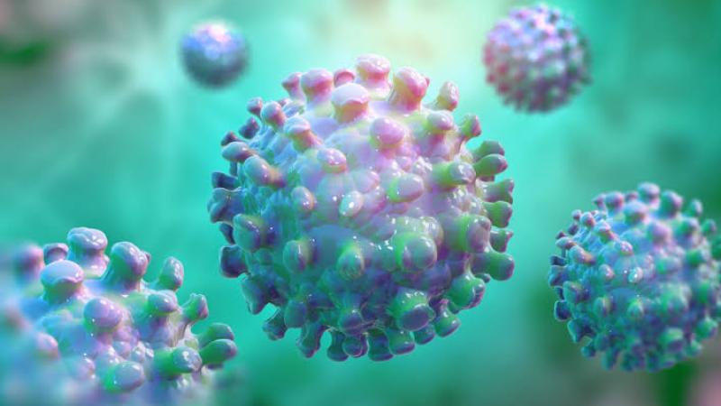 بعدما أثار قلق العالم بعد انتشاره في الصين.. كل ما تريد معرفته عن “فيروس HMPV”