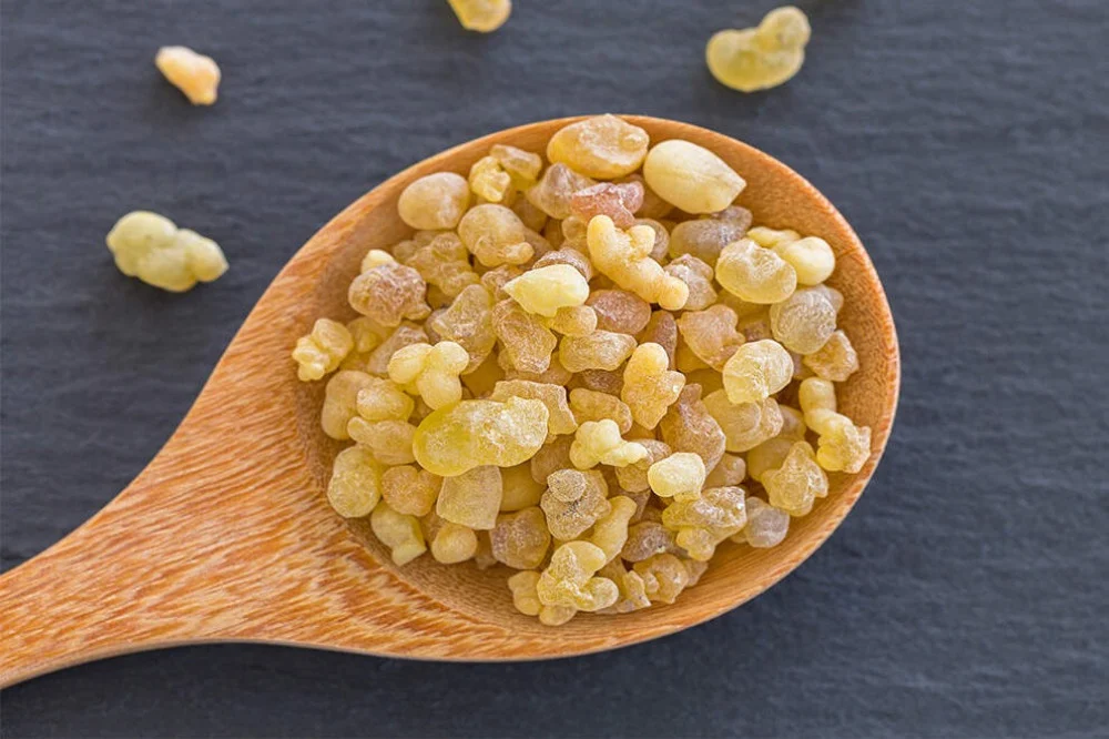 6 فوائد لا تعرفها عن لبان الذكر وكيفية استخدامه..عالج للسرطان