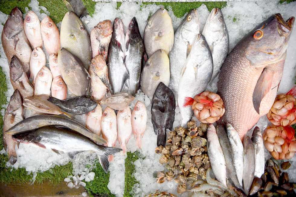 أسعار الأسماك اليوم بالسوق المحلي