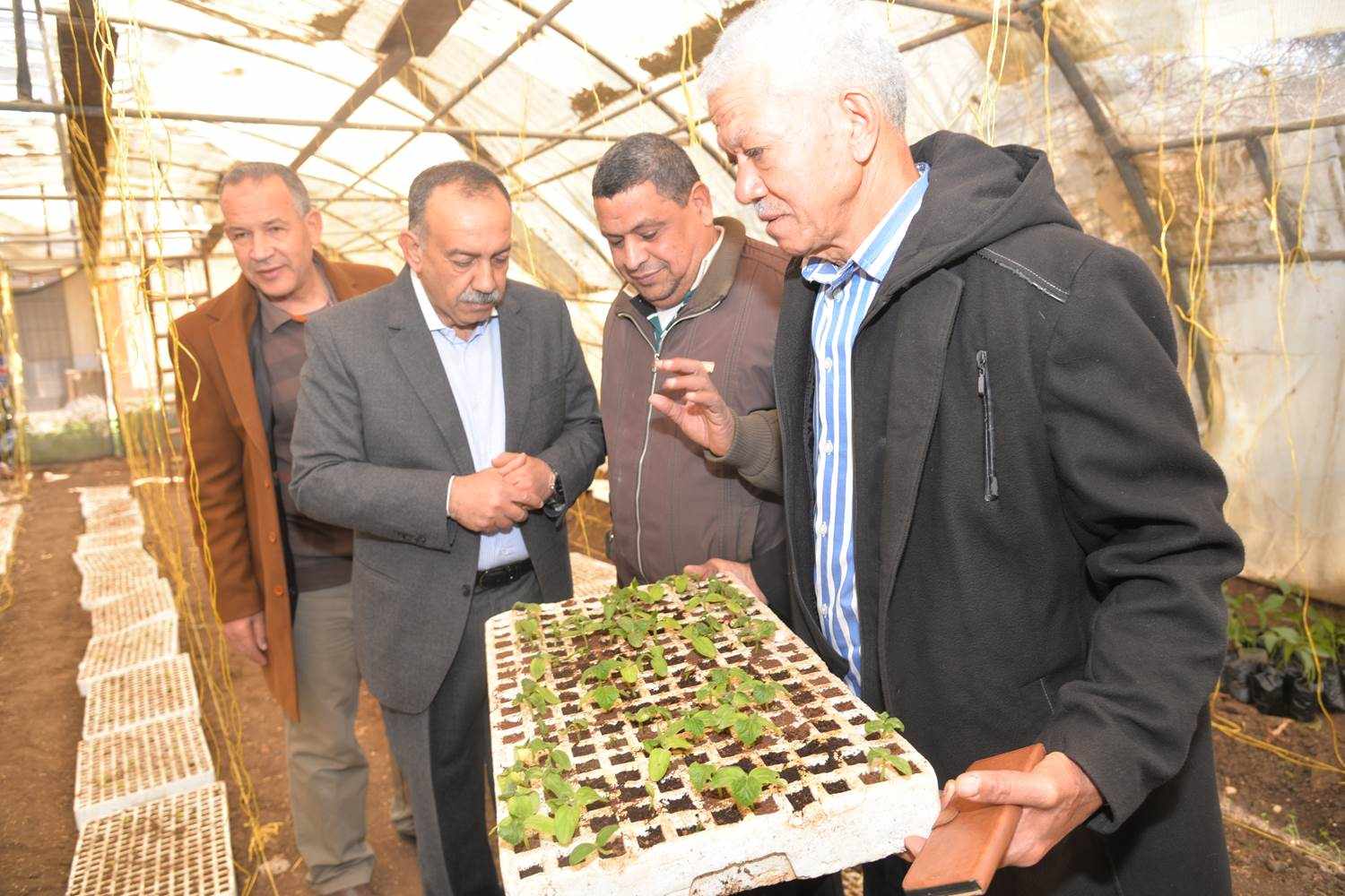 بألواح الفوم.. محافظ أسيوط يشهد زراعة الشتلات بالثانوية الزراعية