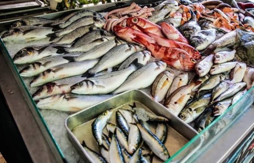انخفاض أسعار الأسماك اليوم بالسوق المحلي