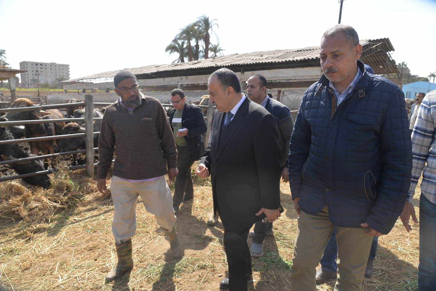 محافظ أسيوط يتفقد مزرعة الثروة الحيوانية بقرية بني مر