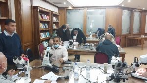 “الصحة” تنظم ورشة تدريب على تصنيف البعوض ومكافحة ناقلات الأمراض