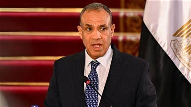 وزير الخارجية: توافق عربى كامل على مسألة رفض تهجير الفلسطينيين