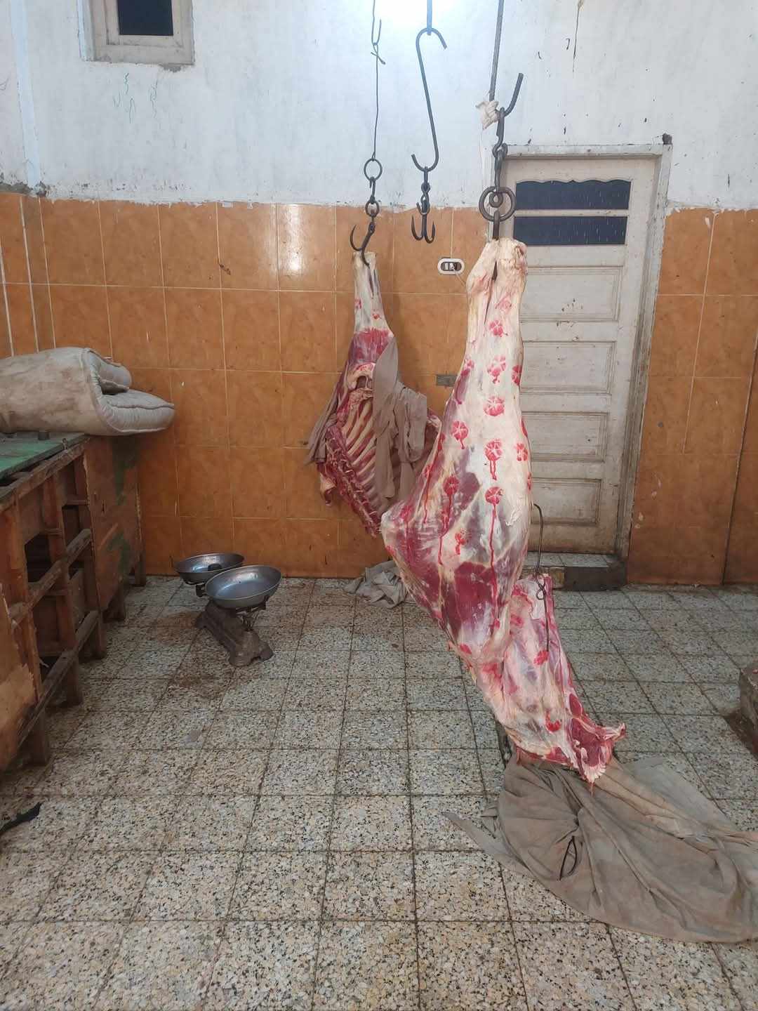 ضبط جزار يذبح خارج المجزر ومصادرة 150كيلو لحمة فاسدة بأسيوط