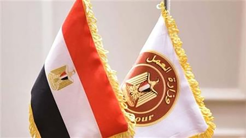 وزارة العمل: 1575فُرصة جديدة في 48 شركة خاصة بـ 12 مُحافظة