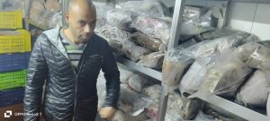 الجيزة: ضبط 10.5 طن أسماك فاسدة ومقطعات لحوم وهياكل دواجن غير صالحة للاستهلاك الآدمي