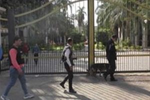 بمحيط الجامعات والمعاهد.. حملات أمنية تضرب أوكار المخدرات وتسقط 52 متهماً