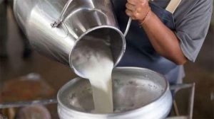 تراجع طفيف في أسعار الألبان والجبن اليوم الخميس