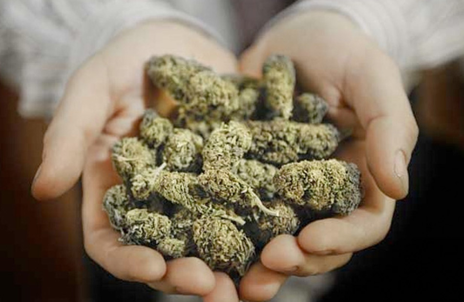 إحالة عاطلين للجنايات بتهمة حيازة نصف كيلو استروكس