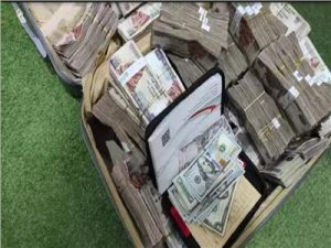 بـ7 ملايين جنيه.. الداخلية تضبط قضايا اتجار غير مشروع في النقد الأجنبي