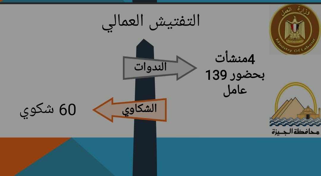 الجيزة: تفتيش عمالي على 168منشأة من خلال مديرية العمل