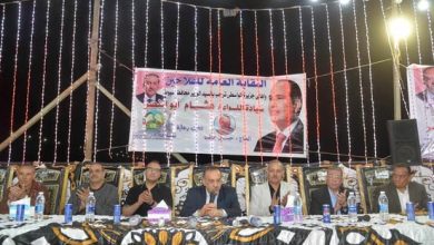 محافظ أسيوط