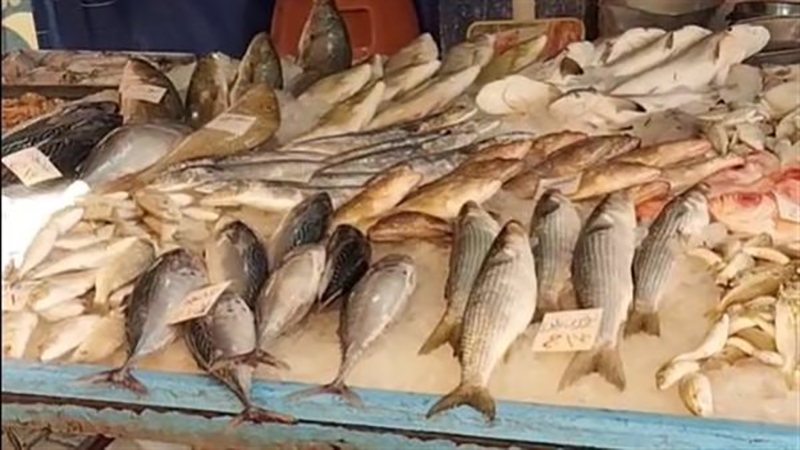 أسعار الأسماك والمأكولات البحرية اليوم بالسوق المحلي