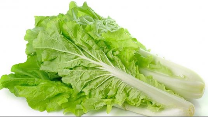 فوائد صحية لتناول الخس على السحور