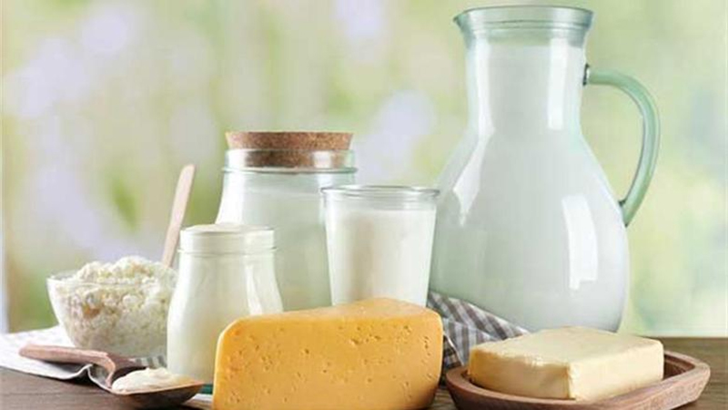 أسعار الالبان والجبن اليوم بالأسواق