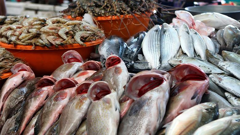 أنخفاض اسعار الاسماك والمأكولات البحرية اليوم بالسوق المحلى