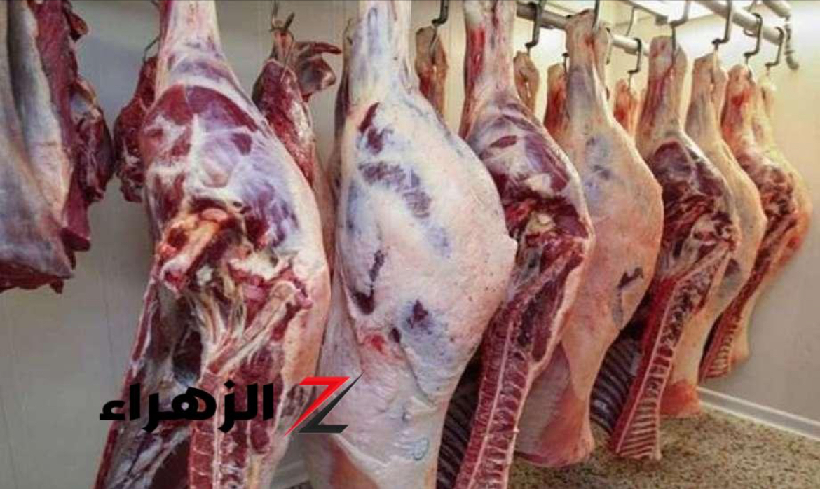 أسعار اللحوم والدواجن والبيض اليوم بالأسواق