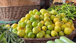 الليمون ب77 جنيه.. أسعار الخضروات والفاكهة في الأسواق اليوم