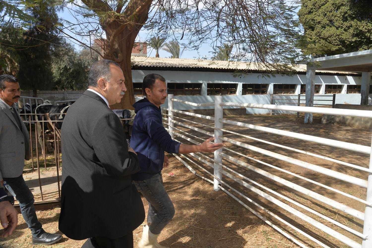محافظ أسيوط يتابع سير العمل بمزرعة أبنوب للثروة الحيوانية لتوفير الأسعار
