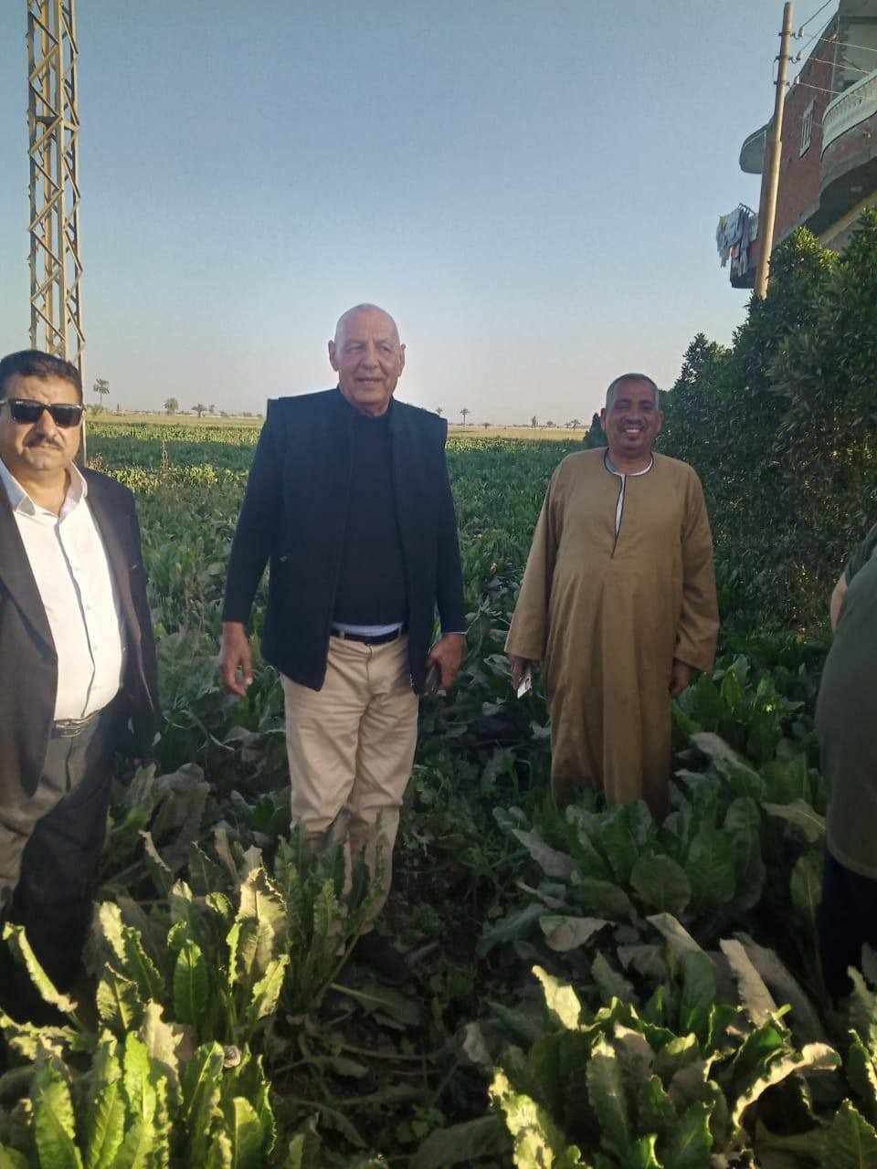وكيل زراعة أسيوط يتفقد المحاصيل بمركز ديروط وزراعة القطن حديثا بالفتح