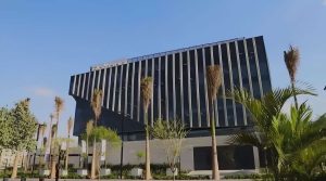 بلتون تنجح في إتمام زيادة تاريخية في رأس المال بقيمة 10.5 مليار جنيه