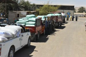 محافظ أسيوط: توريد 9356 طناً من حصاد القمح للشون والصوامع حتى الآن