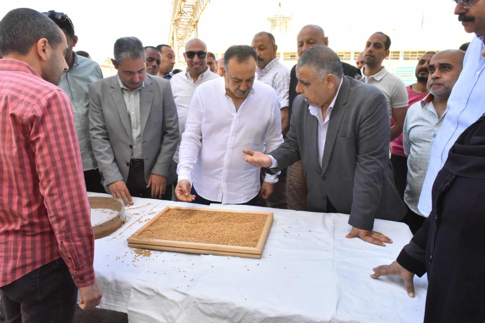 محافظ أسيوط: استمرار توريد القمح بالشون والصوامع.. وتوريد 13 ألف طن حتى الآن