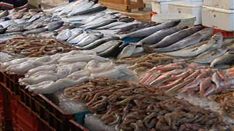 ارتفاع طفيف في أسعار الأسماك والمأكولات البحرية اليوم