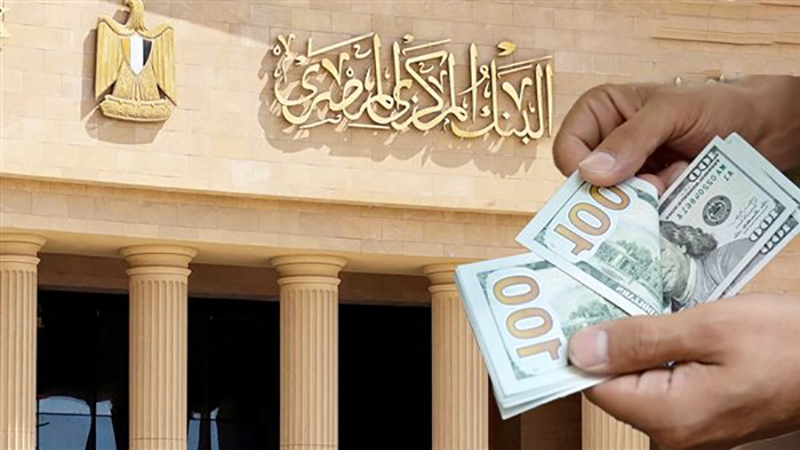 تحويلات المصريين العاملين بالخارج تقفز 83.2% في يناير إلى 2.9 مليار دولار