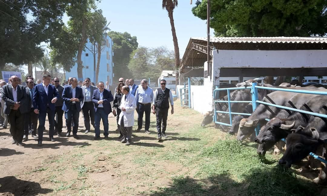 رئيس الوزراء يزور محطة الثروة الحيوانية في أبنوب