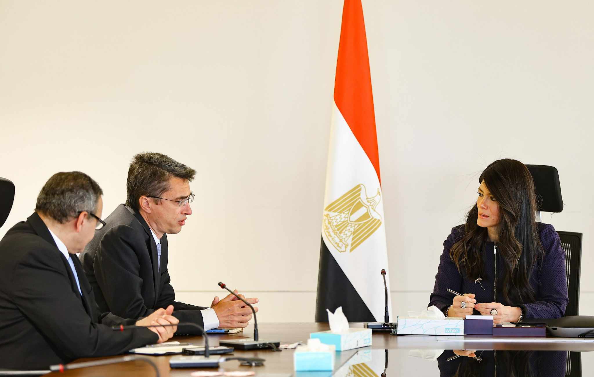 ” المشاط “تتابع مع المدير الإقليمي للبنك الدولي استعدادات انعقاد اجتماعات الربيع لصندوق النقد والبنك الدوليين