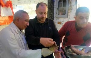 ضبط 8 أطنان أسماك “رنجة وفسيخ” منتهية الصلاحية بالغربية