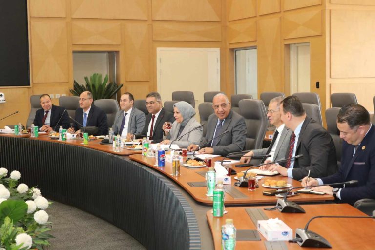 وزير الكهرباء