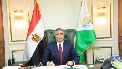 المهندس عادل النجار محافظ الجيزة