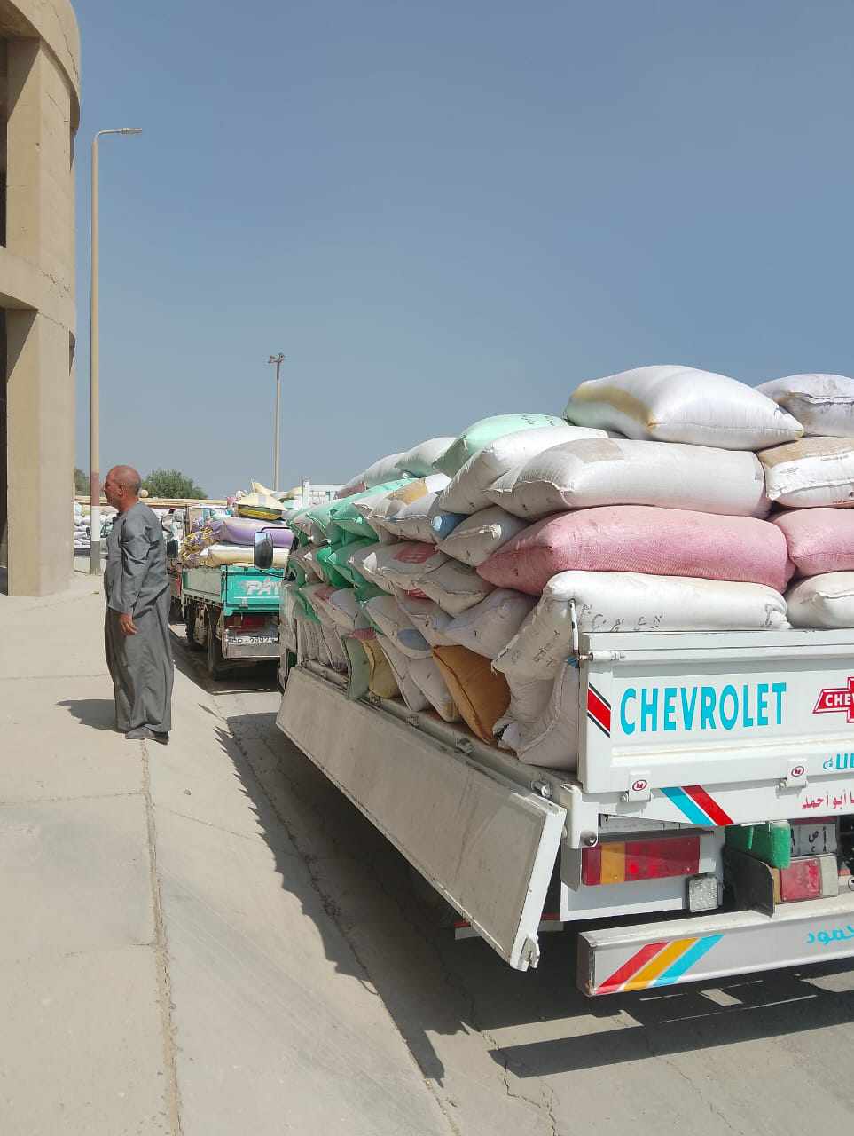 الجيزة تستلم ٦٦ ألف طن قمح محلي منذ بداية موسم الحصاد