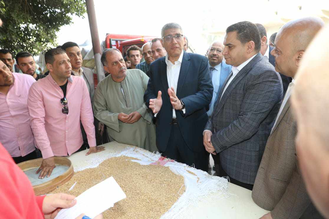 الجيزة تعلن توريد 44 ألف طن قمح  بالصوامع والشون