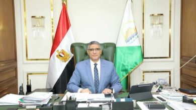 المهندس عادل النجار محافظ الجيزة