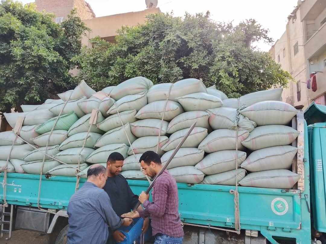 محافظ المنيا:  شون وصوامع المحافظة تستقبل 249 ألف طن من القمح ضمن موسم توريد 2025