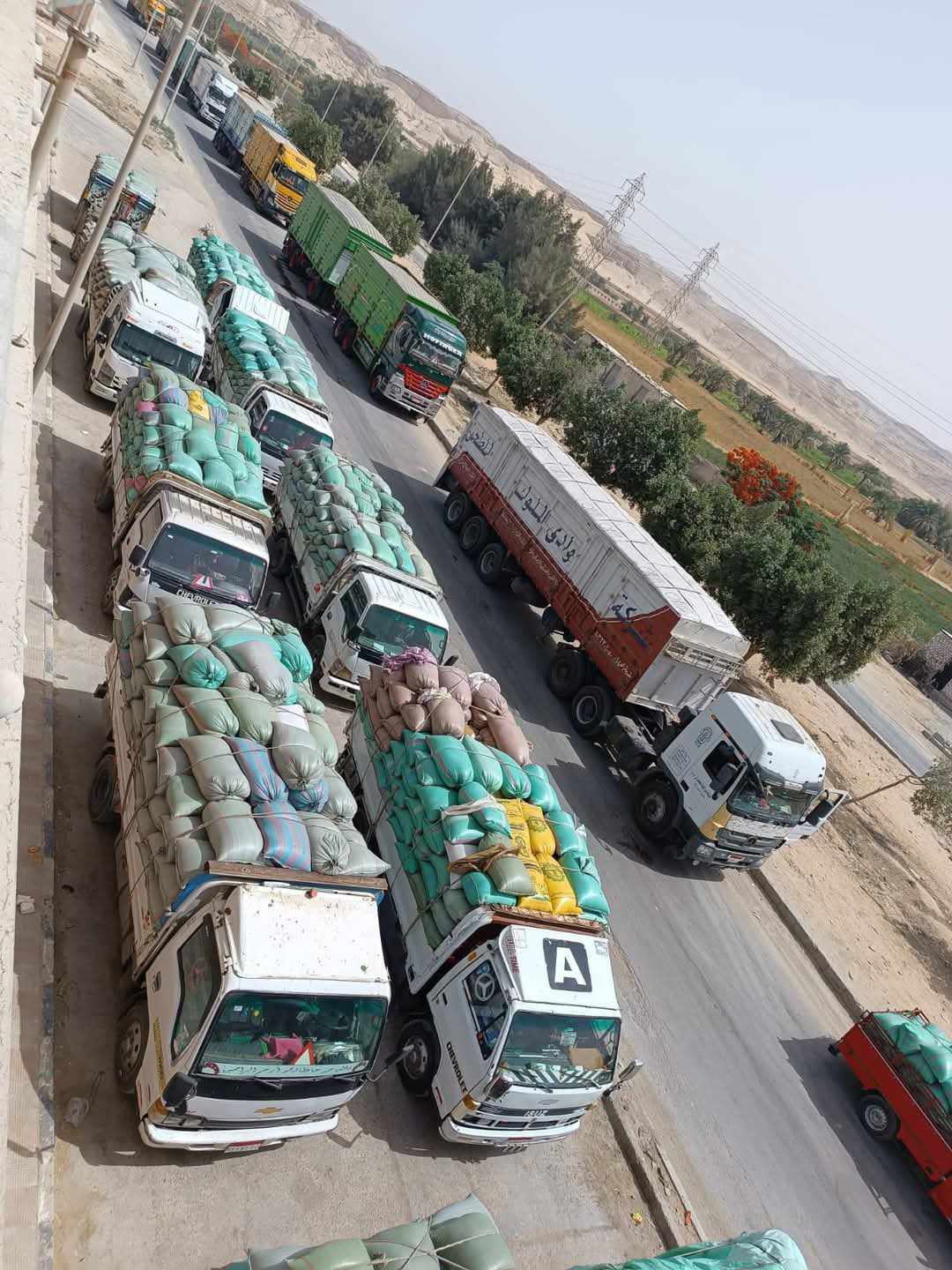 محافظ المنيا: توريد 459 ألف طن من القمح بصوامع المحافظة منذ بدء موسم 2025