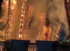 المنيل تشتعل: النيران تلتهم أشجار كورنيش النيل والحماية المدنية تتدخل